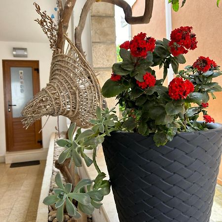 Bolero Guest House Loviste Luaran gambar