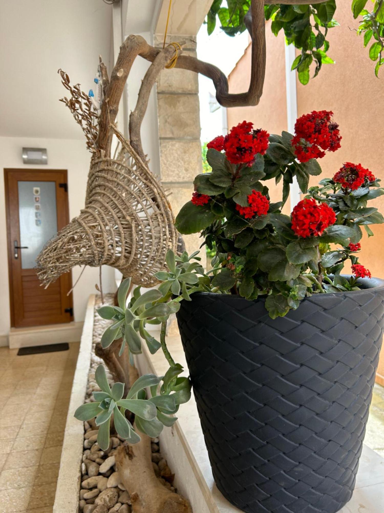 Bolero Guest House Loviste Luaran gambar